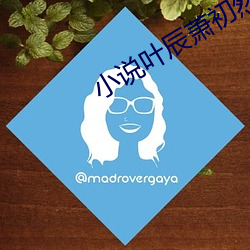 小说(說)叶辰萧初然全文(文)免费(費)阅读