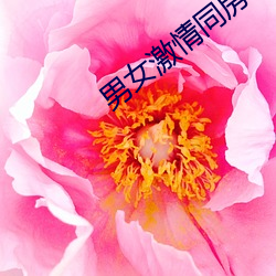 男女激情同房