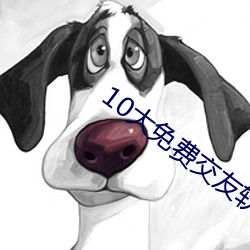 10大免费交友软件