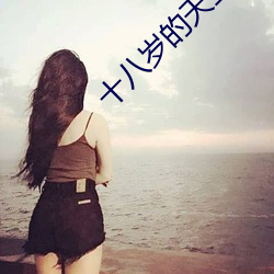 十八岁(suì)的天空2