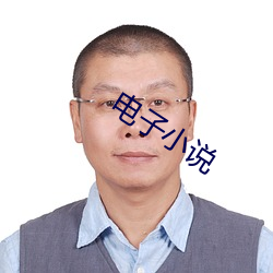 电子小说