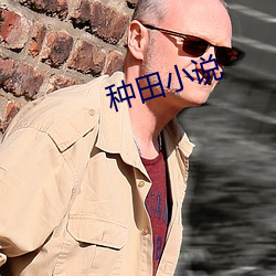 种田小说