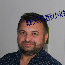 秦(秦)天苏(蘇)酥(酥)小说(說)