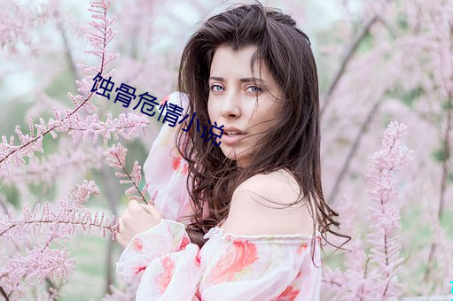 蚀(蝕)骨(骨)危情小说