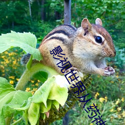影视世界从药(yào)神开始