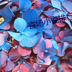 金年会(中国)官方网站