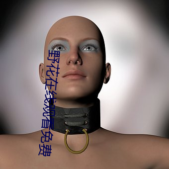 野花在线观看免费