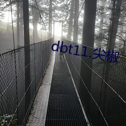 dbt11.尖椒
