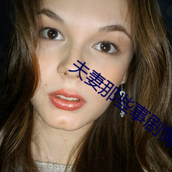 夫妻那些事剧情