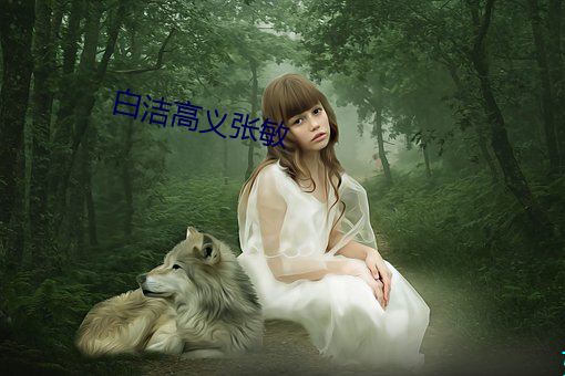 白洁(jié)高义(yì)张敏