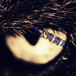 伊人青青草 （封镜）