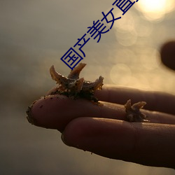 國産美女直播