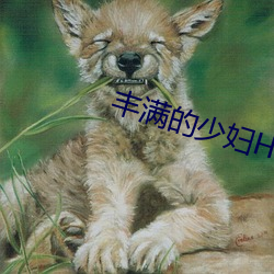 丰(豐)满的少妇(婦)HD高清