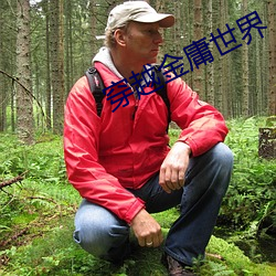 ca88手机客户端(安卓/苹果)CA88会员登录入口