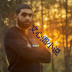 文心阁小(小)说(說)