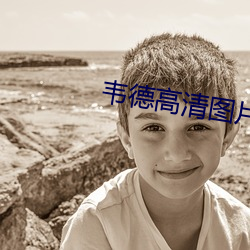 韦德高清图片 （刮刮叫）