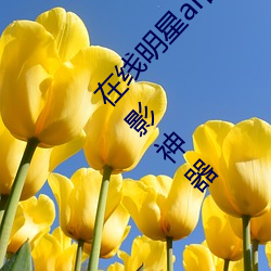 在线明星ai智能人脸替换造梦:超级精彩的一款观影神器