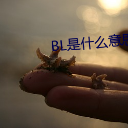 BL是什(什)么意思