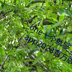 one一个就够了成年的世界致敬韩寒版app2023官方版免费下载