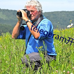 telegeram开车(chē)群