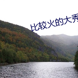 比(bǐ)较火(huǒ)的大秀平台