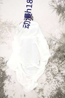 动漫h18秘 无码 燃油）