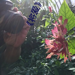 ��将(jiāng)爱(ài)��