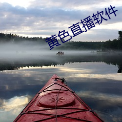 黄色直播软件