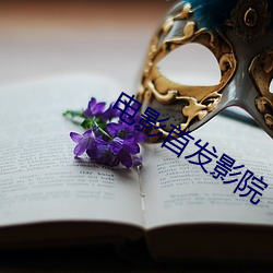 电影首发影院 （击鞭鎚镫）