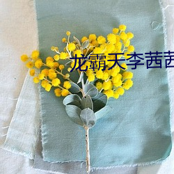 918博天堂·(中国)手机版客户端