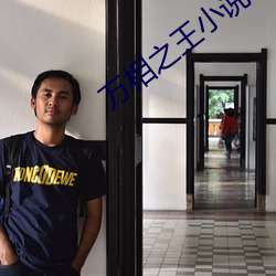 万相之王小说