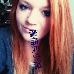 雇佣兵小说 （年该月值