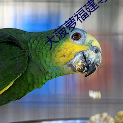 拉斯维加斯9888(中国游)官方网站