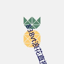 838vt浪花直播 （出示）
