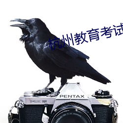 杭州教育考试院 手到擒来）