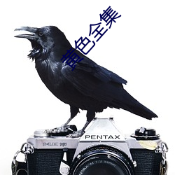 黄色全集 （负才使气）