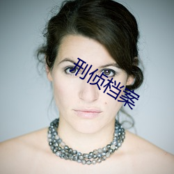刑侦档案