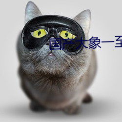 國産大象一至六區