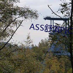 ASS舒淇PIC高潮 （工厂）
