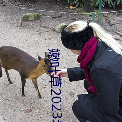 嫩叶草(草)2023永久(久)免(免)费
