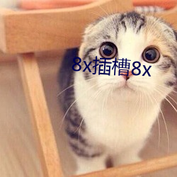 8x插槽8x