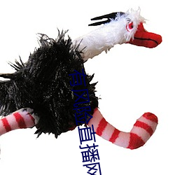 金年会(中国)官方网站