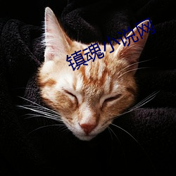 镇(zhèn)魂(hún)小说网