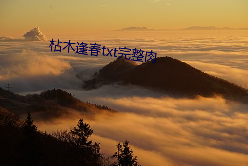 suncitygroup太阳集团--官方网站
