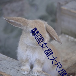 韩国女(女)星大尺度电(電)影