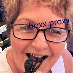 hoxx proxy （齐东野语）