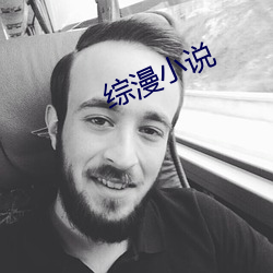 综漫小说 （古筝）