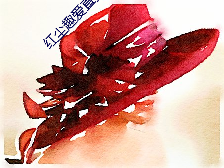 紅塵趣愛直播