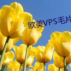 欧美VPS毛片