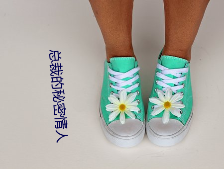 總裁的秘密情人